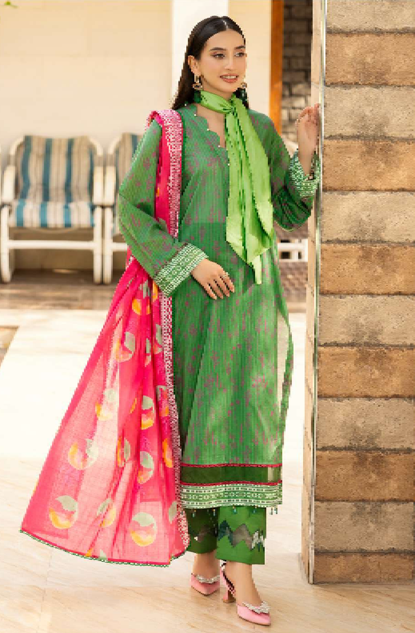 Api Raabi Raabi – House Of Lawn