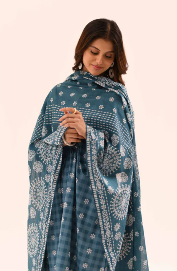 42302157-R Nishat Unstitched Printed Lawn Collection 2025 Volume-6