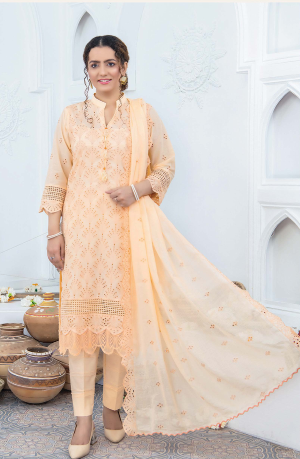 D/06 X15189 Chikankari Embroidered Lawn by Rangriti